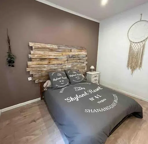 Apartament Les Du Palais *